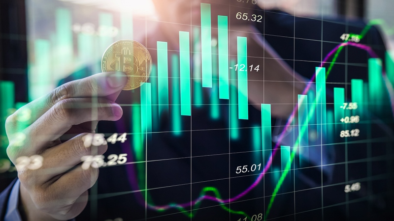 How You Can Select A Foreign Exchange Sign Service?