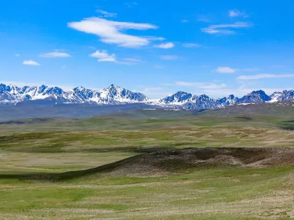Discover the Untamed Beauty of Deosai National Park: A Must-Visit Destination