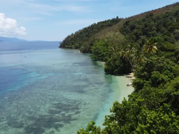 Beach Tours in Papua that Offer Exotic Beauty