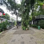 Sentul City Cultural Park, Enjoy an Adventure-Filled Family Vacation