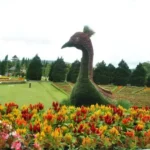 Taman Bunga Nusantara, the Charm of Natural Beauty and Fun Activities in Cianjur