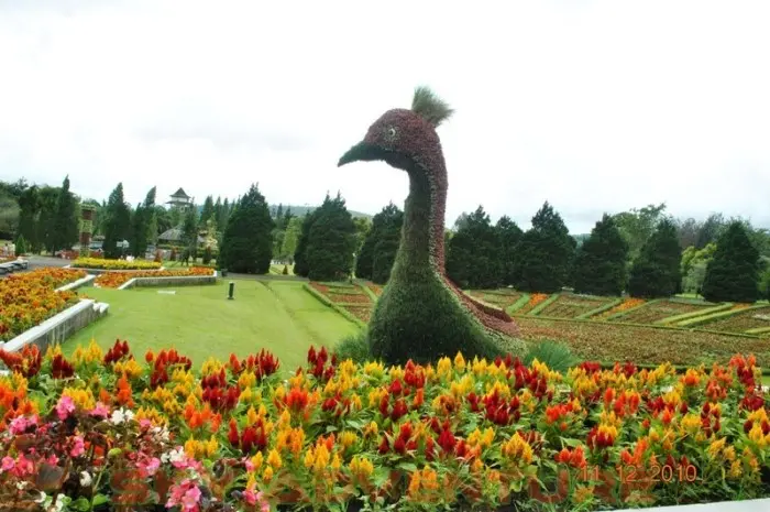 Taman Bunga Nusantara, the Charm of Natural Beauty and Fun Activities in Cianjur